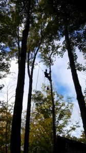 andrew climbing