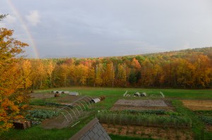 2012 rainbow