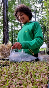 Emet fills the farm share packing on Wednesday mornings with song and rhythm.