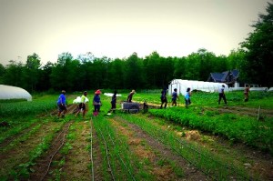 Heading in from the fields to attend skills workshops at Black and Latinx Farmers Immersion