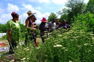 Culinary and medicinal herbs workshop at Black and Latino Farmers Immersion